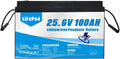 Diepcyclusbatterij LiFePO4 met 24V, 100Ah, Bluetooth en zonne-energie