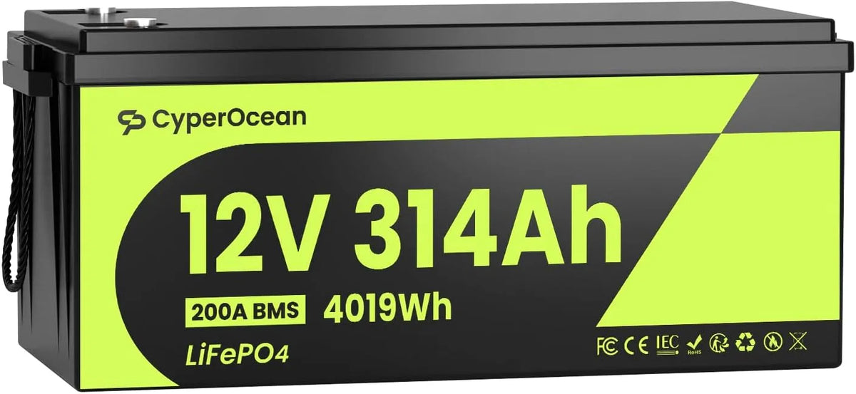 12V, 12V 314Ah LiFePO4-accu, model LiFePO4-accu, 4019Wh deep-cycle lithium-ijzerfosfaataccu met 200A BMS, 15.000+ cycli voor campers
