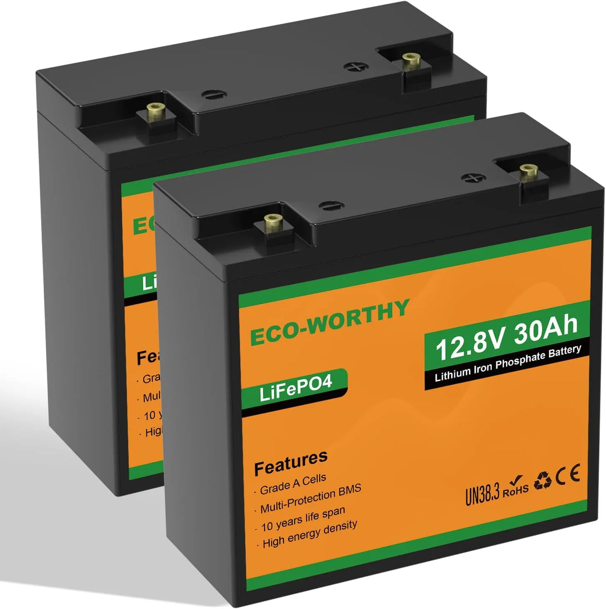 ECO-WORTHY 2 stuks LiFePO4 accu LiFePO4 met 12 V, 30 Ah en 25 A